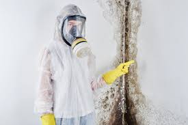 Trusted Roanoke, AL Mold Removal Experts